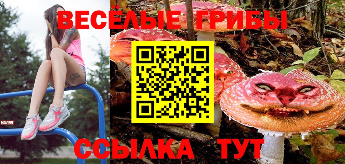 Галлюциногенные грибы мицелий Майский