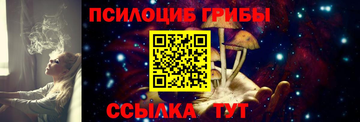 Псилоцибиновые грибы GOLDEN TEACHER  Галлюциногенные грибы Magic Shrooms  Майский  Вход с VPN 